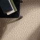 Anderson Tuftex Crochet Carpet in Riviera Beach, , large