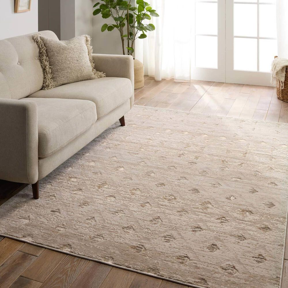 Jaipur Catalyst Carine 7&#39;10&quot; x 10&#39;6&quot; Birch, Feather Gray, Incense and Bison Area Rug, , large