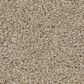 Shaw Affirmation I Carpet in Loft Light, , large
