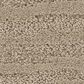 Anderson Tuftex Calais Stil Carpet in Tumbleweed, , large