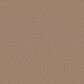 Shaw Las Cruces Carpet in Copper Moon, , large