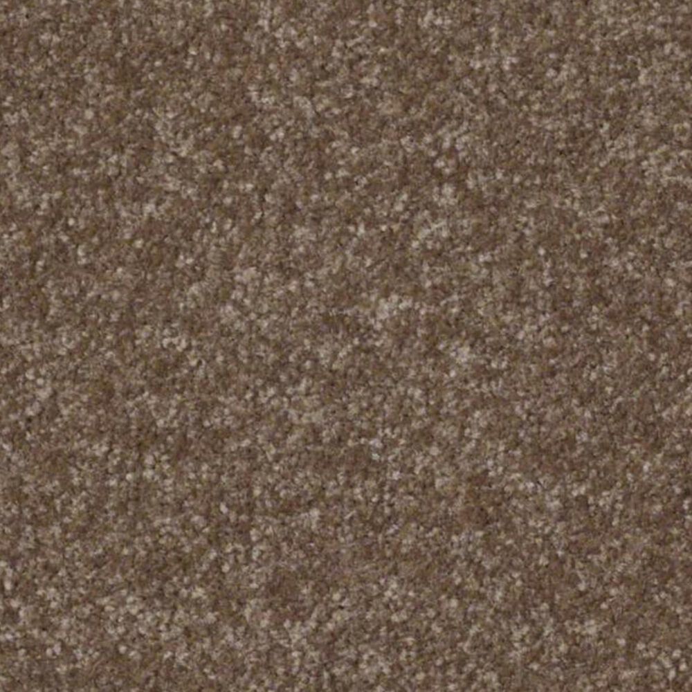 Shaw Refinement Carpet in Dinosaur, , large