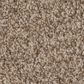 Anderson Tuftex Bossa Nova Carpet in Nutshell, , large