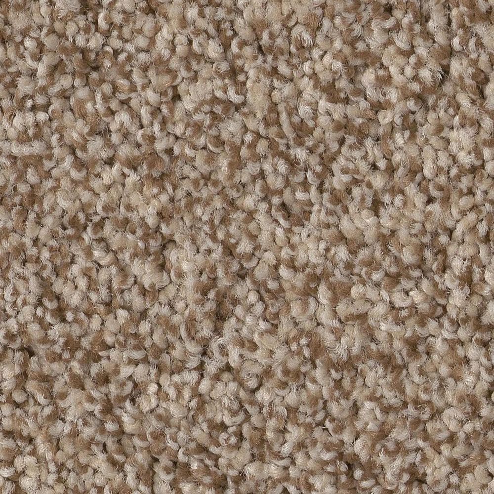 Anderson Tuftex Bossa Nova Carpet in Nutshell, , large