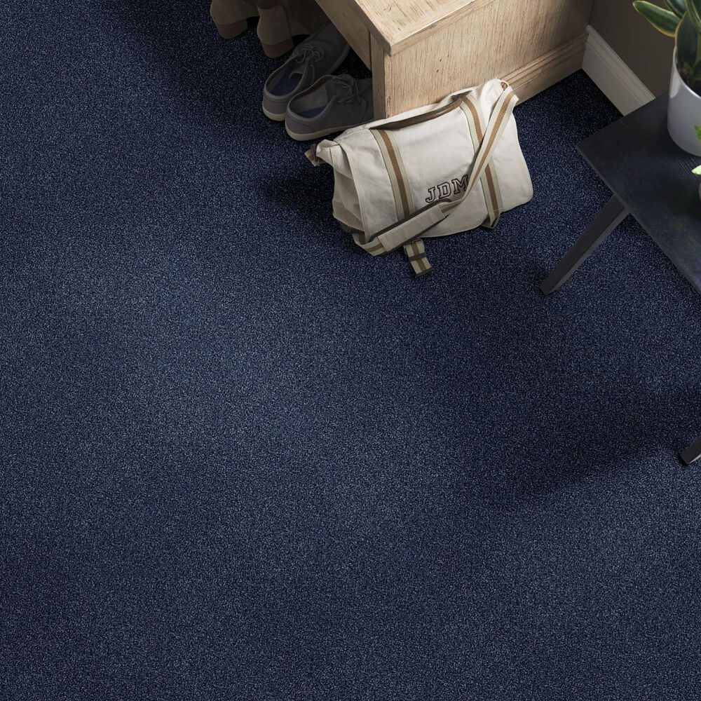 Shaw Find Your Comfort TT I Carpet in Sail Away, , large