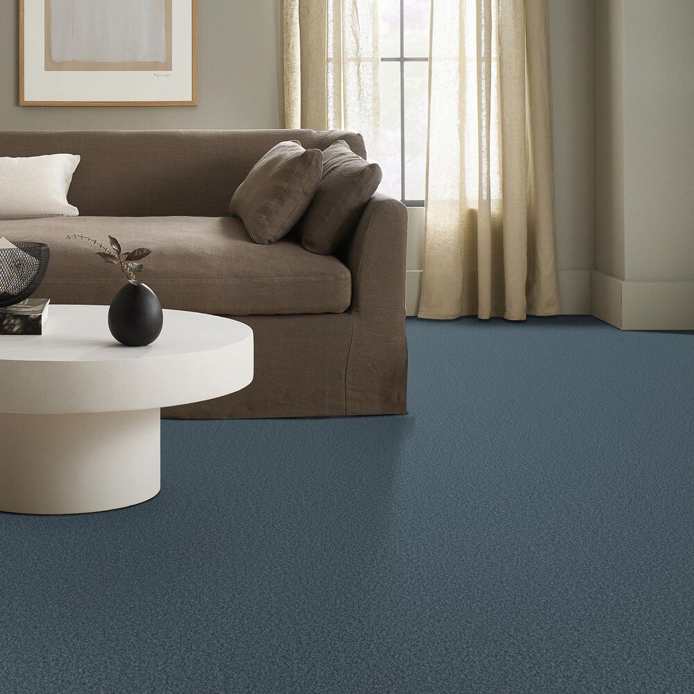 Shaw Tonal Comfort Ii Carpet in Surf Lessons, , large