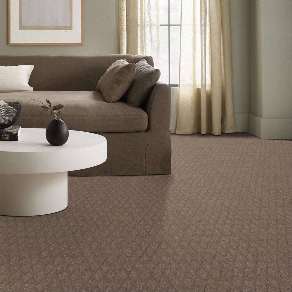 Anderson Tuftex Illumination Carpet in Bungalow, , large