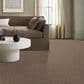 Anderson Tuftex Illumination Carpet in Bungalow, , large