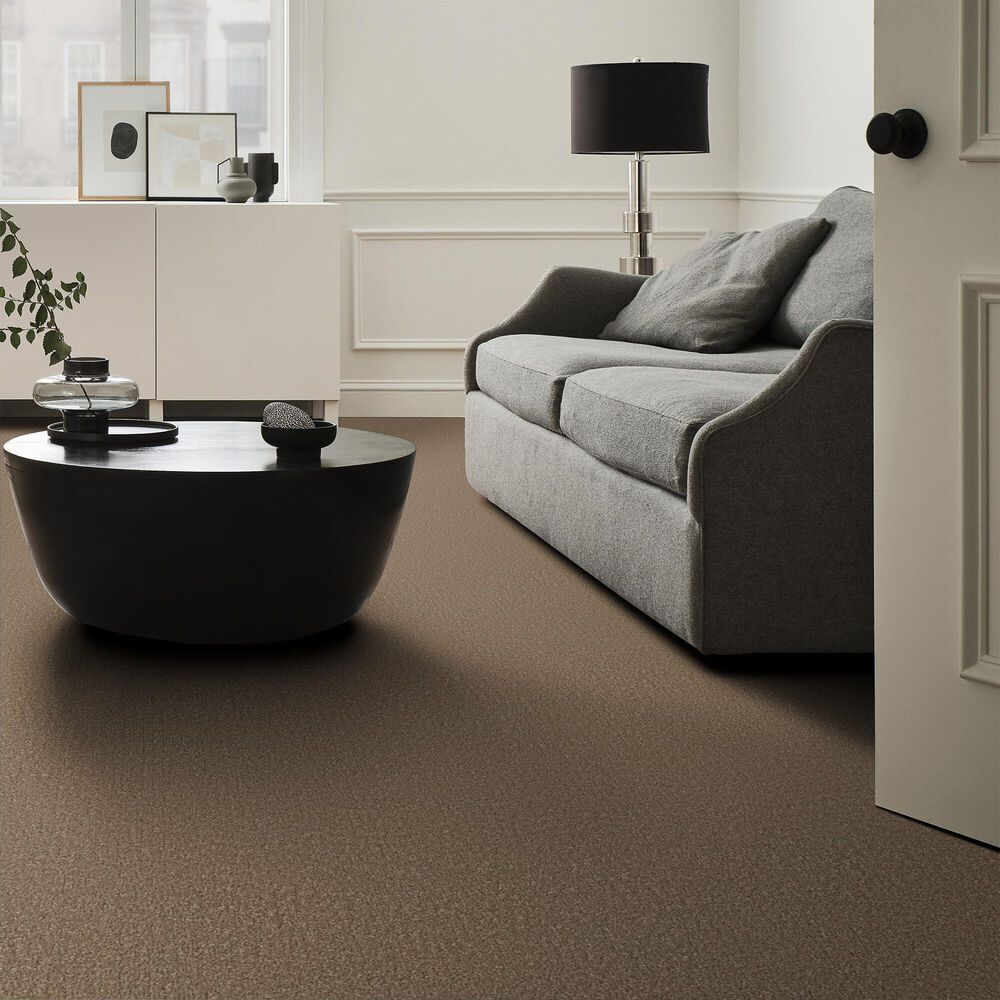 Shaw Posh Life Carpet in Mission Ridge, , large