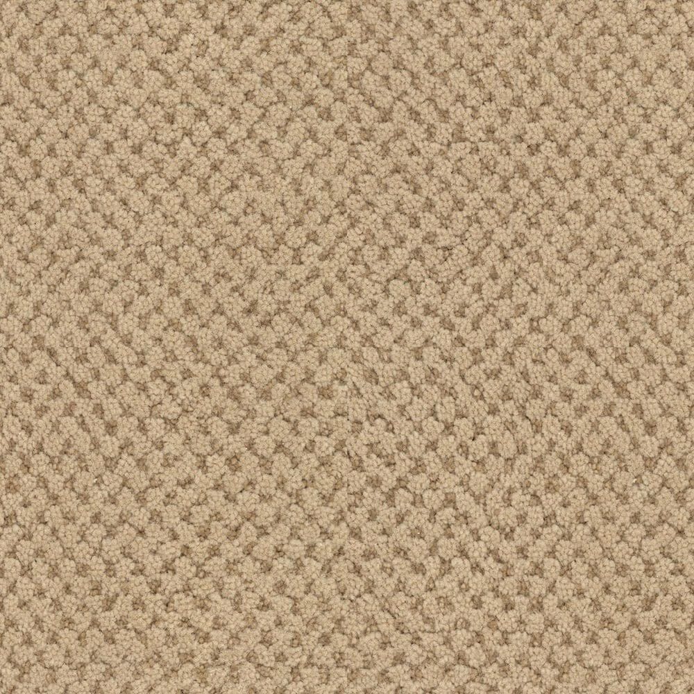 Masland Festivities Carpet in Basketry, , large