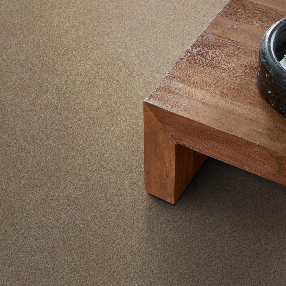 Shaw Tonal Comfort I Carpet in Falling Leaves, , large