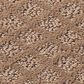 Shaw Foundations Formalize Carpet in Raw Wood, , large