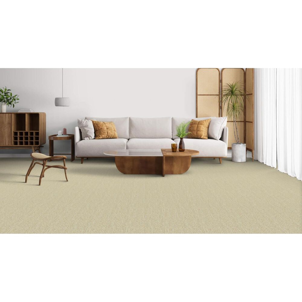 Masland Mesa Verde Carpet in Lancaster, , large