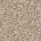 Shaw Shake It Up (T) Carpet in Croissant, , large