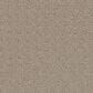 Phenix Debut Carpet in New Beginning, , large