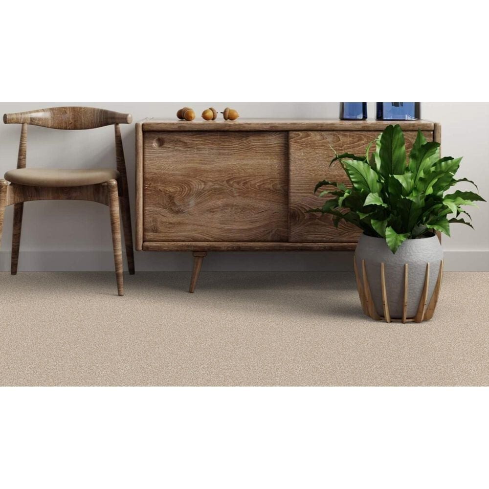 Dixie Home Bella Carpet in Bulldog, , large