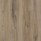 Karastan Refined Forest Fawn 9" x 72" Luxury Vinyl Plank, , large