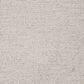 Dixie Home Worthington Carpet in Medium, , large
