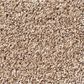 Shaw Foundations Take The Floor Tonal II Carpet in Sienna, , large