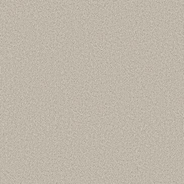 Shaw Clever Blend Carpet in Subtle Clay, , large