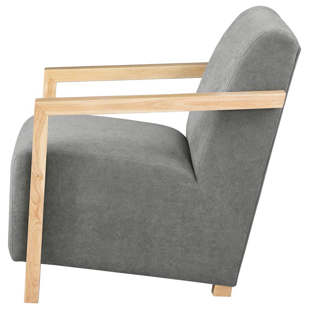 Coaster Diego Accent Arm Chair in Grey, , large
