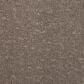 Mohawk Mineral Effects Carpet in Lead, , large