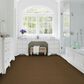 Karastan Stippled Carpet in Birch, , large