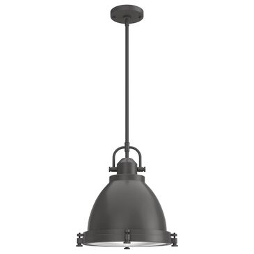 Hunter Bridgemoor 2-Light Pendant in Noble Bronze, , large