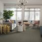 Shaw Simply the Best All Set I Carpet in Beach Walk, , large