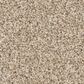 Anderson Tuftex Fabulous Carpet in Utterly Beige, , large