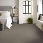Shaw After It II Carpet in Pebble Walk, , large