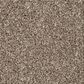 Shaw New Memories T Carpet in Stonecrest, , large