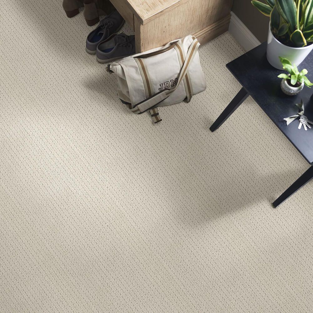 Anderson Tuftex San Lucas Carpet in Plymouth, , large