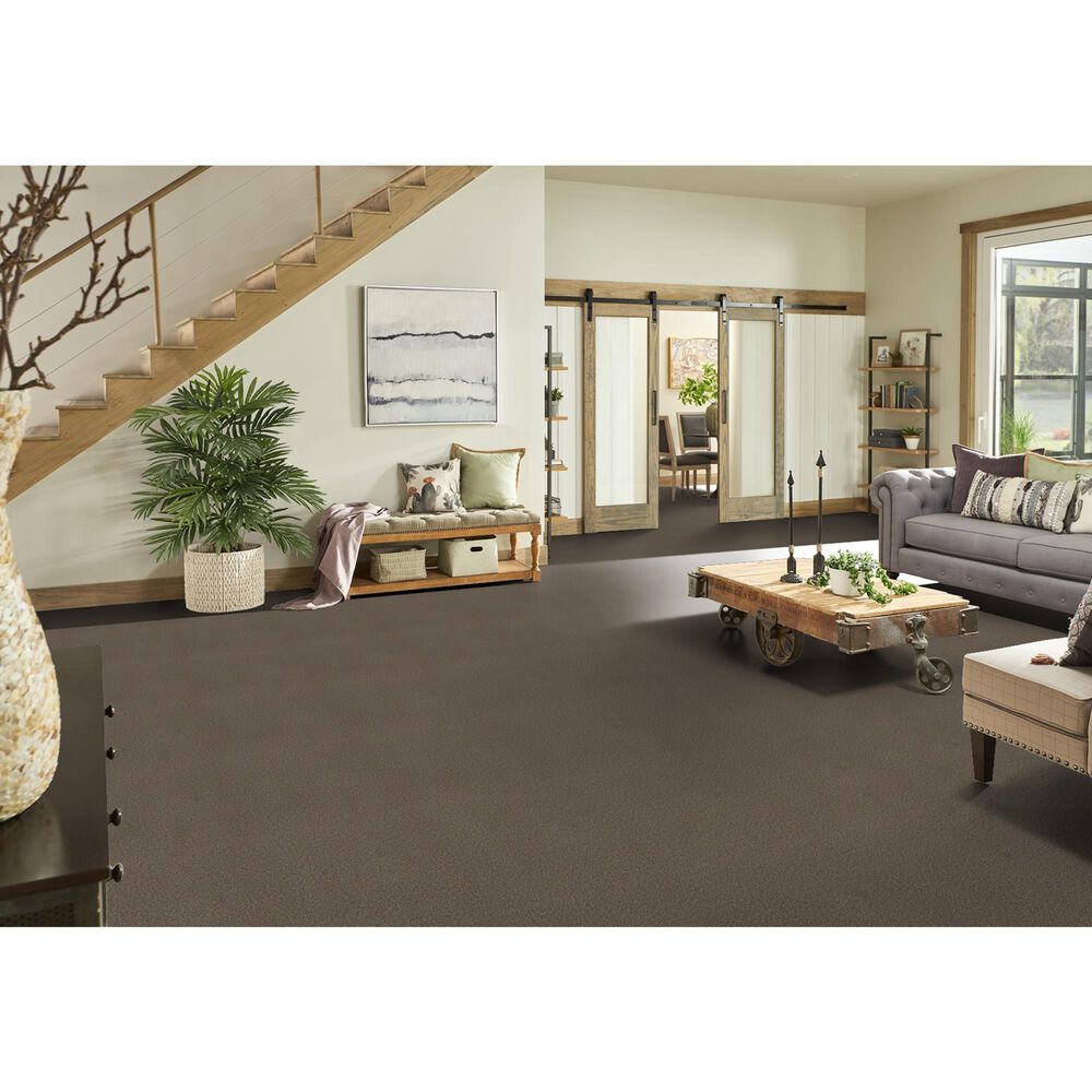 Phenix Capri Carpet in Espresso, , large