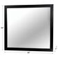 Furniture of America Lennart Rectangle Mirror in Black, , large