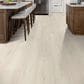 Shaw Ascent Natural Bevel Alpine 9" x 72" Vinyl Plank, , large