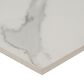 MS International Regallo Calacatta Isla 24" x 48" Polished Porcelain Tile, , large
