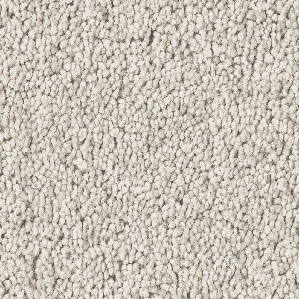 Philadelphia Champagne Taste I Carpet in Frozen, , large