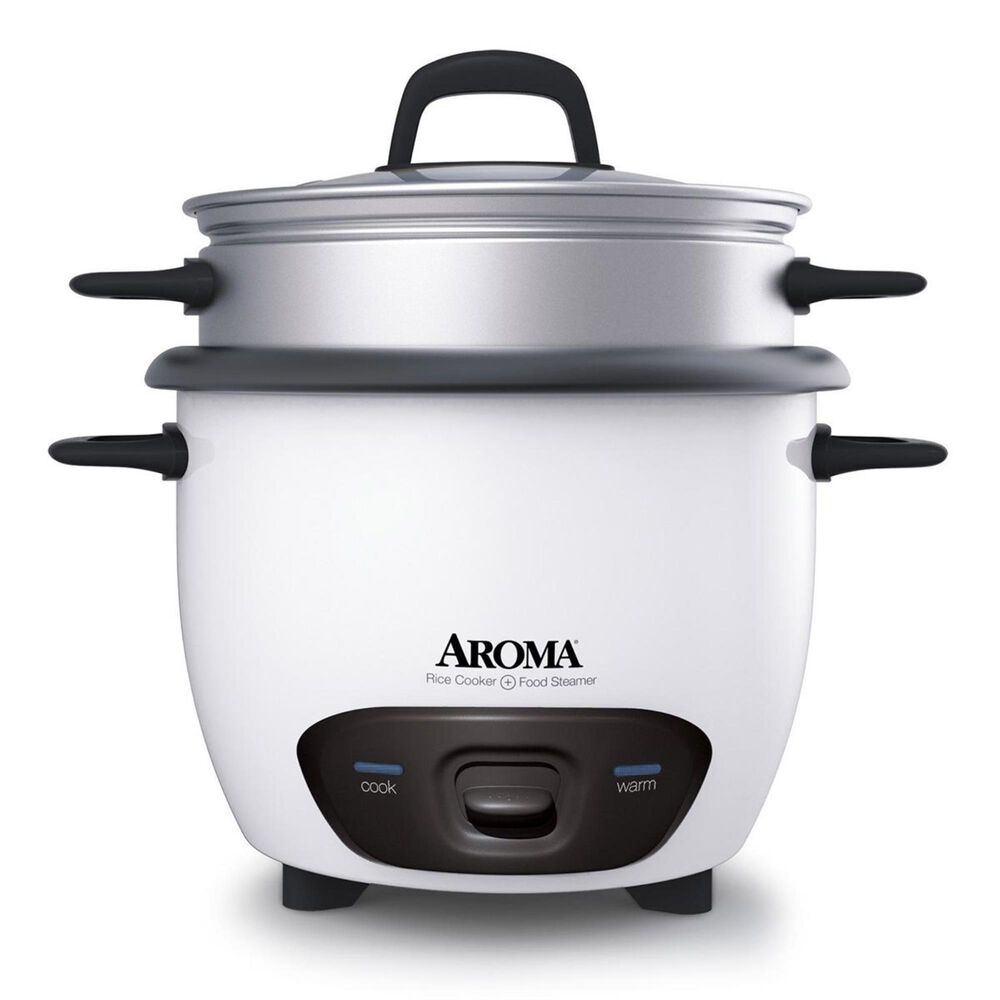 rice cooker and steamer