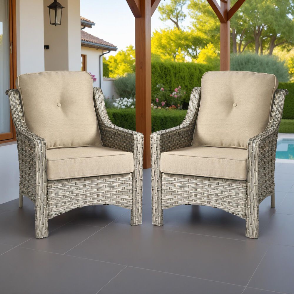 HOMLUX Outdoor Arm Chair in Beige (Set of 2), , large