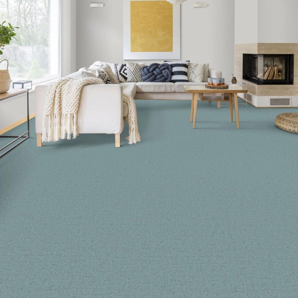 Dixie Home Genuine Carpet in Proven, , large