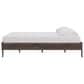 Ashley Calverson King Platform Bed in Rich Brown, , large