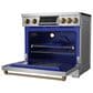 Thor Kitchen Gordon Ramsay 6 Cu. Ft. Professional Induction Range with Bronze Handle Kit in Stainless Steel, , large