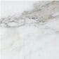 MS International Calacatta Gold 12" x 24" Polished Natural Stone Tile, , large