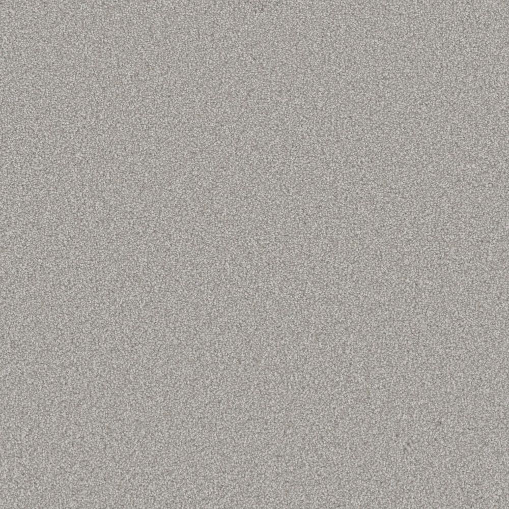 Phenix Oasis Platinum Carpet in Antelope, , large