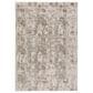 Dalyn Rug Company Antalya Oriental 7"10" x 10" Taupe Area Rug, , large