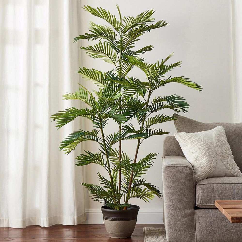 Timberlake Pure Garden 72" Golden Cane Palm Tree in Garden Green, , large