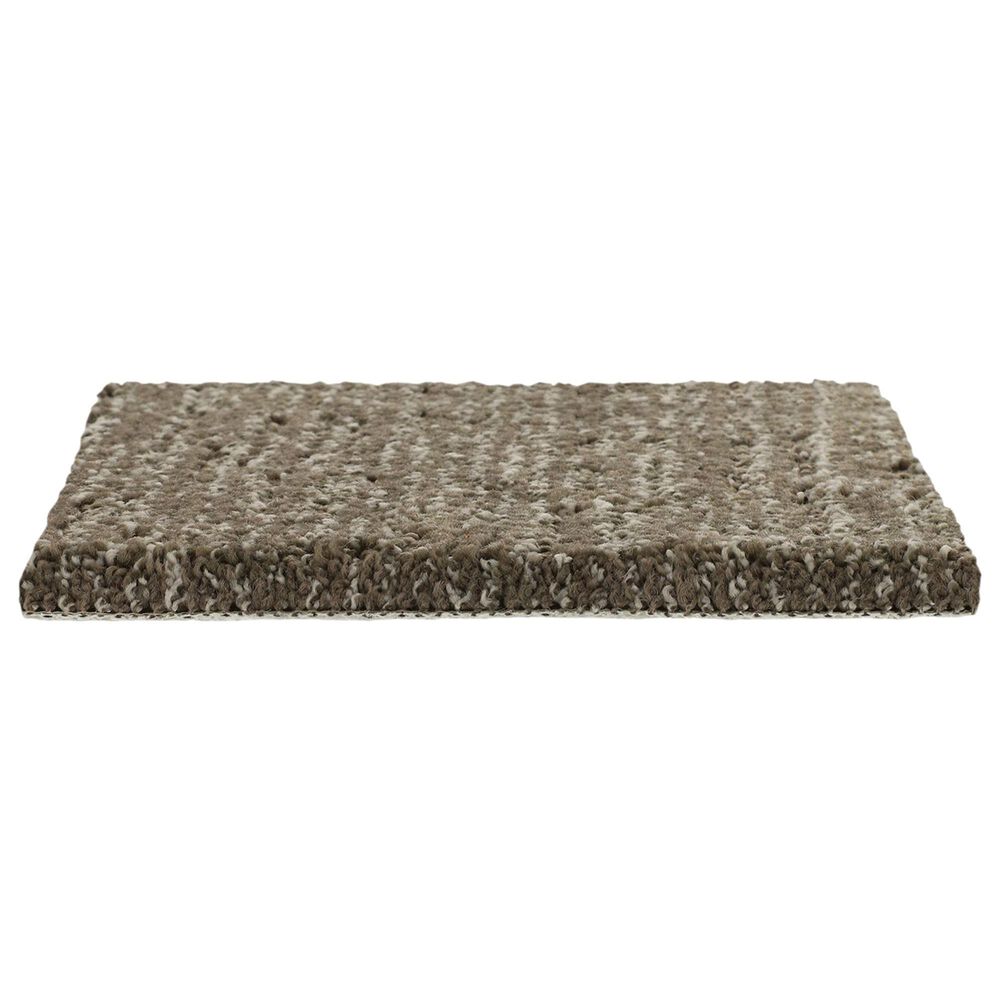 Mohawk Natural Texture Carpet in Sequoia, , large