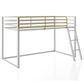 Furniture of America Haven Twin Loft Bed in Gray and Gold, , large
