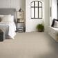 Shaw Tonal Comfort II Carpet in Dinner With Friends, , large